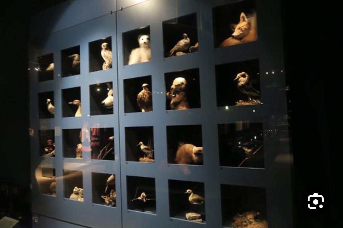 متحف علمي زراعي طبيعي 