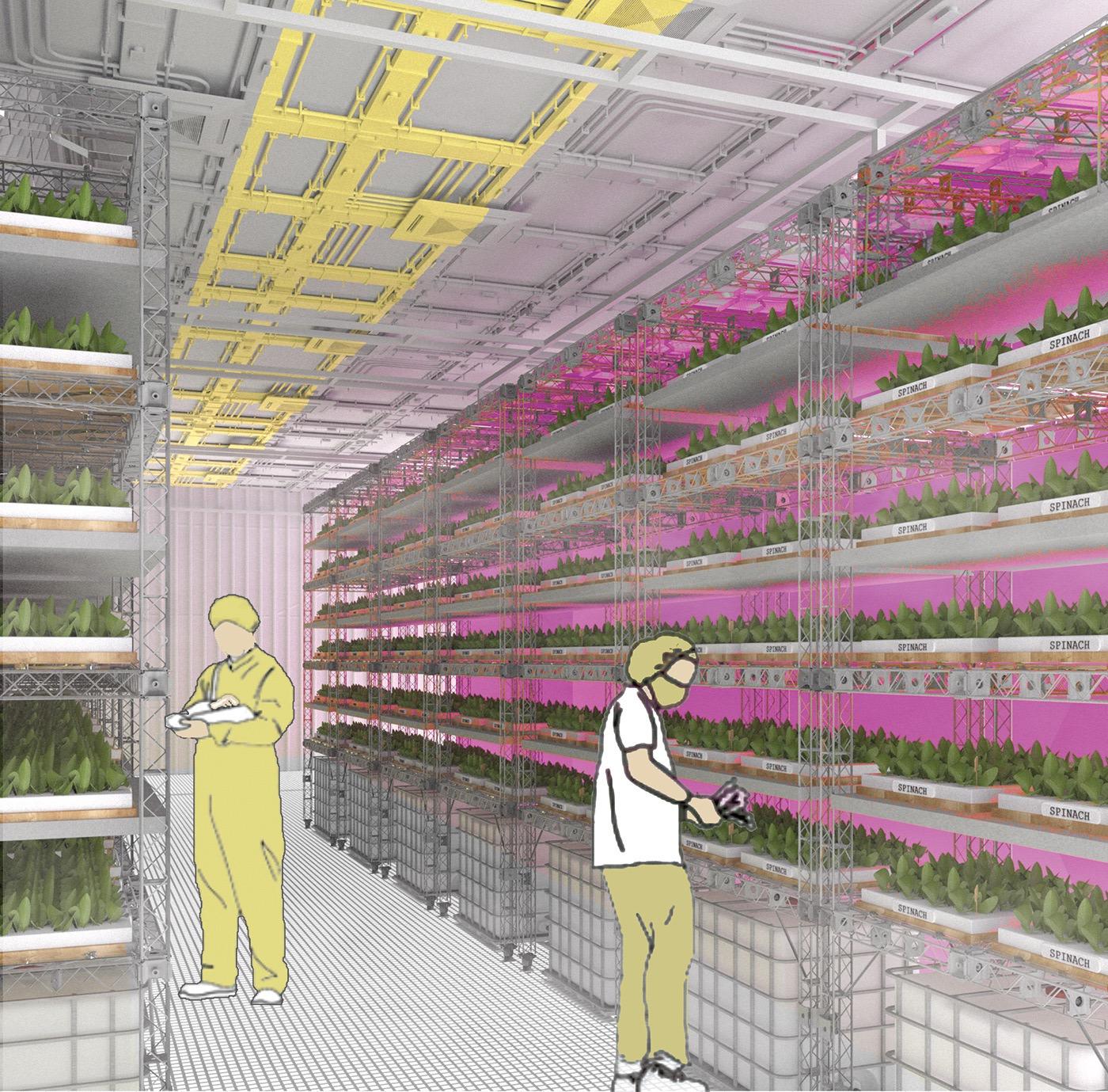 المزرعة العمودية 