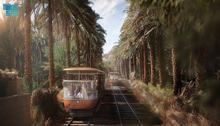 أروى الحامدية