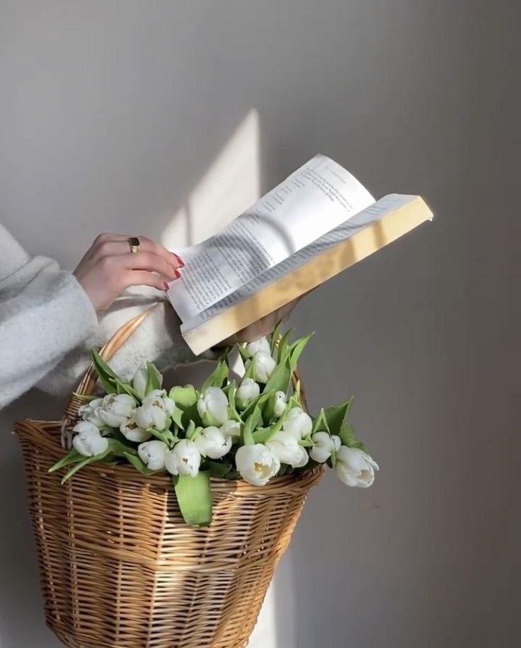 زوينة  الخوالدية